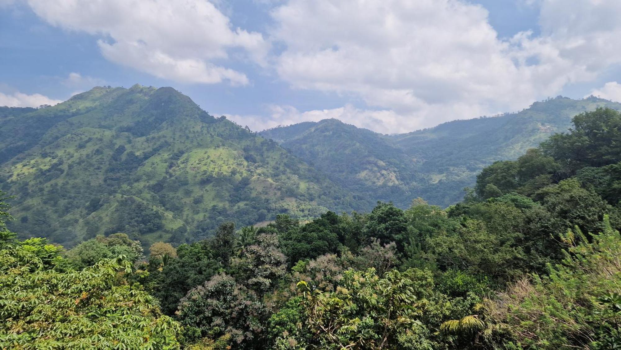 Ella Wild Waterfall Inn Esterno foto